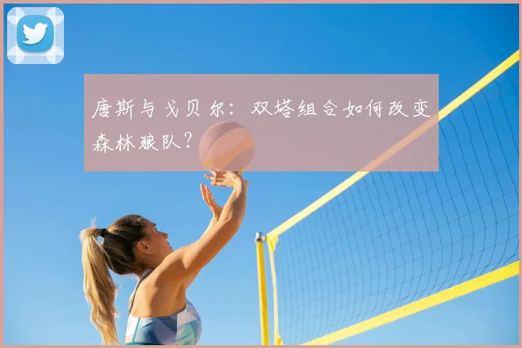 唐斯与戈贝尔：双塔组合如何改变森林狼队？