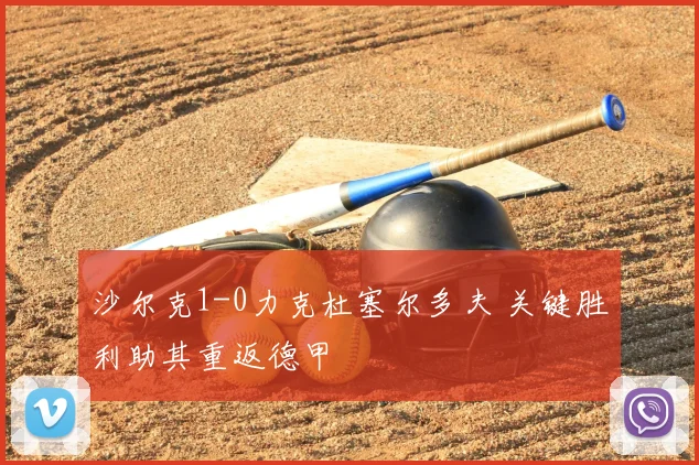 沙尔克1-0力克杜塞尔多夫 关键胜利助其重返德甲