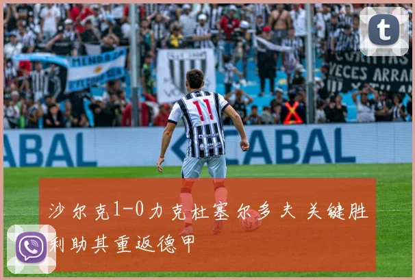 沙尔克1-0力克杜塞尔多夫 关键胜利助其重返德甲